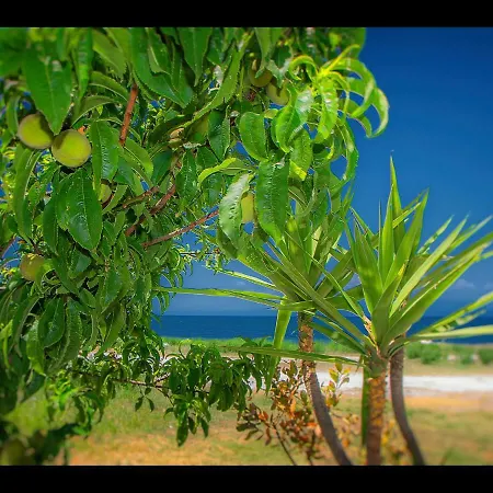 Sea La Vie * Skala Rachoni (Thasos)