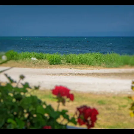 Sea La Vie 펜션 Skala Rachoni (Thasos)